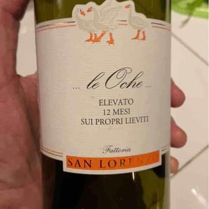 Le Oche - Fattoria San Lorenzo - Natalino Crognaletti 