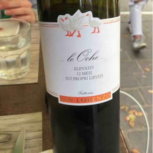 Fattoria San Lorenzo - Natalino Crognaletti - Le Oche