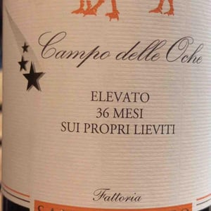Le Oche - Fattoria San Lorenzo - Natalino Crognaletti 