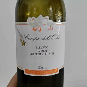 Fattoria San Lorenzo - Natalino Crognaletti - Le Oche