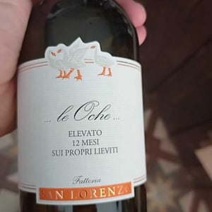 Le Oche - Fattoria San Lorenzo - natalino-crognaletti