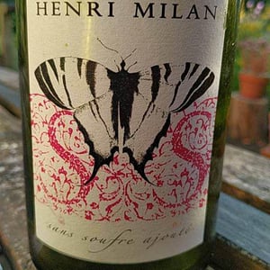 Le Papillon blanc - Domaine Milan - emma-theophile-henri-milan