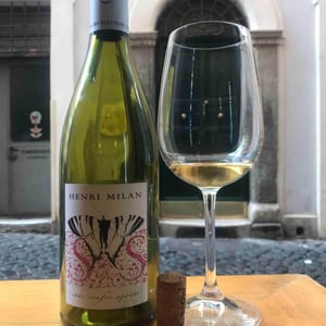 Le Papillon blanc - Domaine Milan - Emma, Théophile & Henri Milan 
