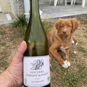 Le Paradis - Domaine Du Nozay - Cyril de Benoist 