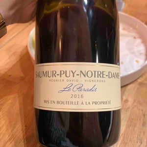 Saumur Puy Notre Dame Le paradis - Domaine Régnier-David - jean-francois-regnier -2016