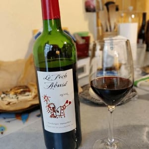 Domaine du Pech - Magali Tissot & Ludovic Bonnelle - Le Pech Abusé