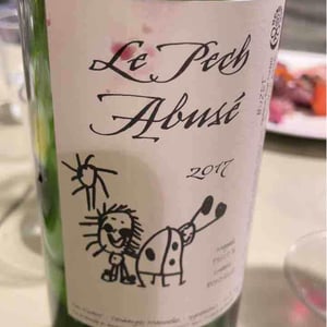 Domaine du Pech - Magali Tissot & Ludovic Bonnelle - Le Pech Abusé