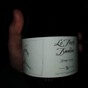 Le Pech Badin - Domaine du Pech - Magali Tissot & Ludovic Bonnelle 