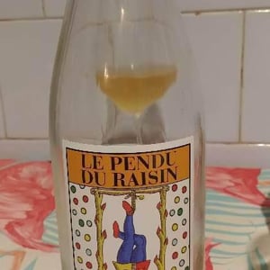 Le Pendu Du Raisin - Cascina degli Ulivi - ilaria-bellotti