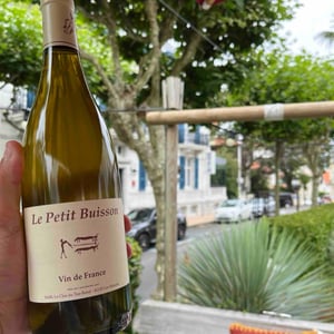 Le Petit Buisson - Clos du Tue-Bœuf - zoe-louise-thierry-puzelat
