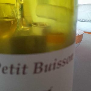 Le Petit Buisson - Clos du Tue-Bœuf - zoe-louise-thierry-puzelat