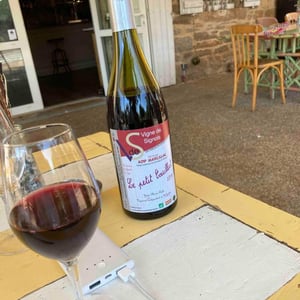 Le Petit Couillut - Vigne De Signols - Yvan-Marie Ruffié 