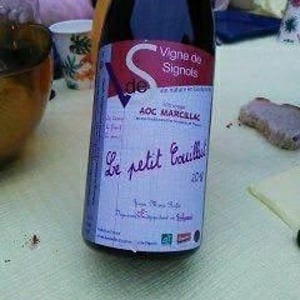 Le Petit Couillut - Vigne De Signols - yvan-marie-ruffie