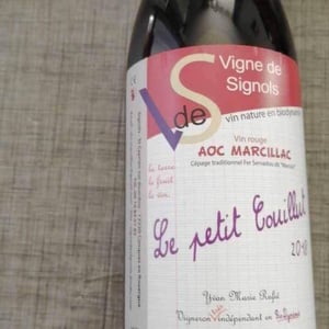Le Petit Couillut - Vigne De Signols - yvan-marie-ruffie