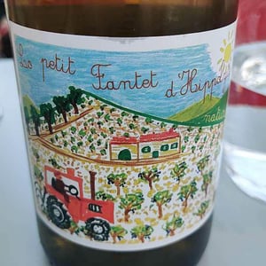 Le Petit Fantet D’Hippolyte - Château Ollieux Romanis - pierre-bories-yannick-desert