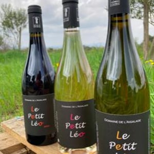 Le Petit Léo - Domaine de l'Aiglade - benjamin-basharain -2021
