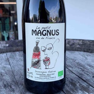 Le Petit Magnus - Haut-Campagnau - dominique-andiran -2021