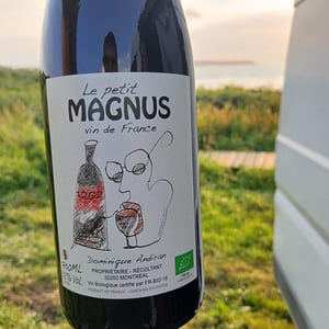 Le Petit Magnus - Haut-Campagnau - Dominique Andiran -2021