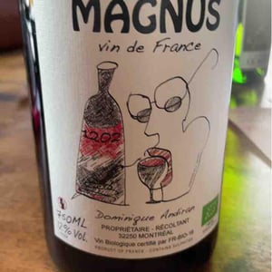 Le Petit Magnus - Haut-Campagnau - Dominique Andiran -2021