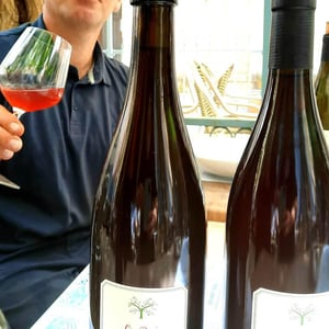 Le Petit Rosé de Gimios - Le Petit Domaine de Gimios - anne-marie-lavaysse