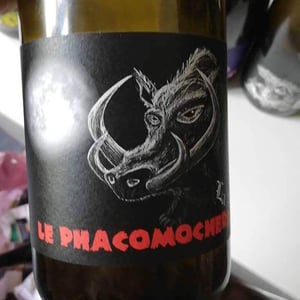 La Sorga - Antony Tortul - Le Phacomochère