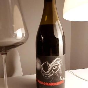 Le Phacomochère - La Sorga - antony-tortul