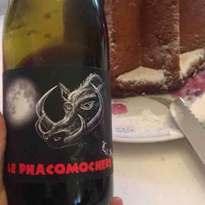 Le Phacomochère - La Sorga - antony-tortul