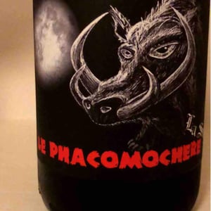 Le Phacomochère - La Sorga - Antony Tortul 