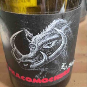 Le Phacomochère - La Sorga - antony-tortul