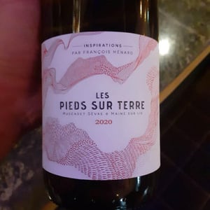 Le pieds Sur Terre - Menard Gaborit - François Ménard -2020
