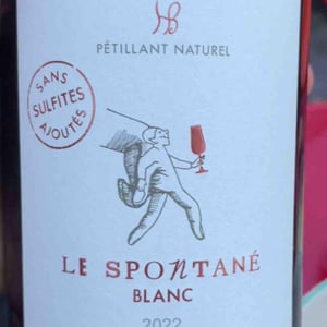 Le spontané - Philippe et nicolas - nicolas-grosbois-philippe-mesnier