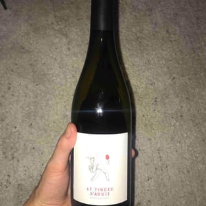 Le Pineau d’Aunis - Les Hauts Baigneux - nicolas-grosbois-philippe-mesnier
