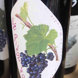 Le Pinot Noir - Les Cailloux du Paradis - claude-etienne-courtois