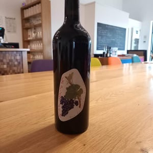 Le Pinot Noir - Les Cailloux du Paradis - claude-etienne-courtois