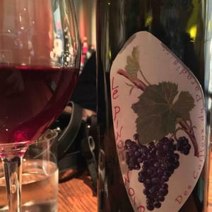 Le Pinot Noir - Les Cailloux du Paradis - Claude & Etienne Courtois 