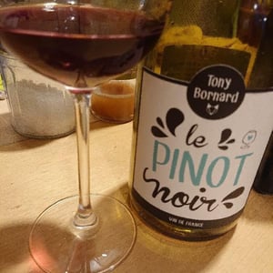 Le Pinot Noir - Domaine Bornard - tony-bornard