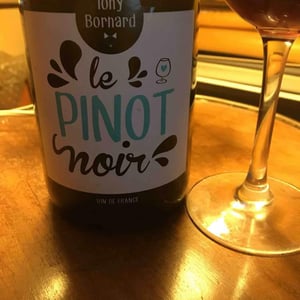 Domaine Bornard - Tony Bornard - Le Pinot Noir