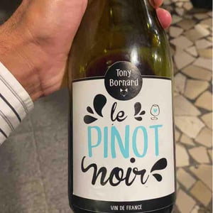 Le Pinot Noir - Domaine Bornard - Tony Bornard 