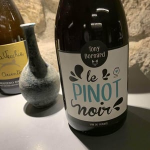 Le Pinot Noir - Domaine Bornard - tony-bornard