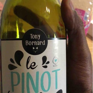 Le Pinot Noir - Domaine Bornard - Tony Bornard 