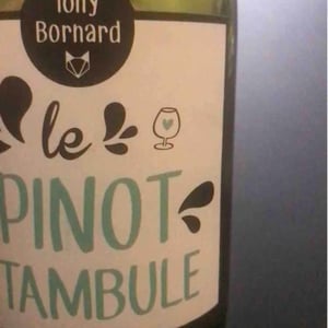 Domaine Bornard - Tony Bornard - Le Pinotctambule