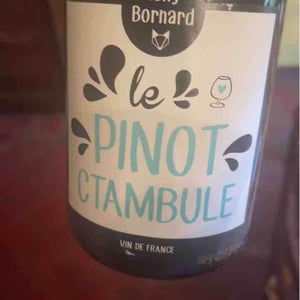 Domaine Bornard - Tony Bornard - Le Pinotctambule
