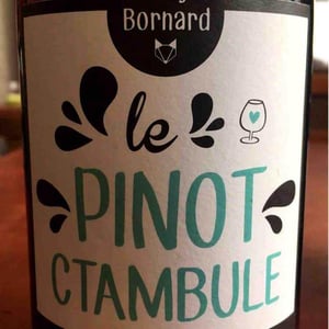 Domaine Bornard - Tony Bornard - Le Pinotctambule