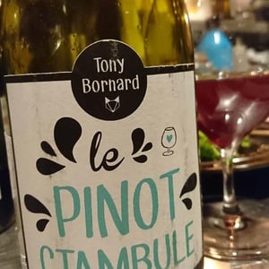 Le Pinotctambule - Domaine Bornard - Tony Bornard 