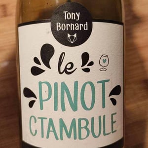 Domaine Bornard - Tony Bornard - Le Pinotctambule