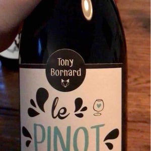 Domaine Bornard - Tony Bornard - Le Pinotctambule