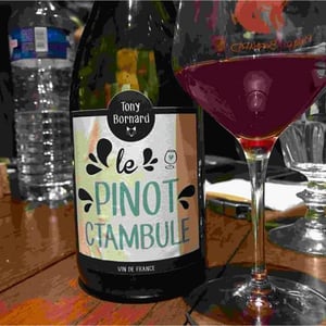 Domaine Bornard - Tony Bornard - Le Pinotctambule
