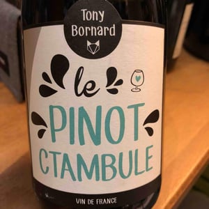Le Pinotctambule - Domaine Bornard - Tony Bornard 