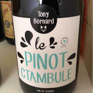 Domaine Bornard - Tony Bornard - Le Pinotctambule