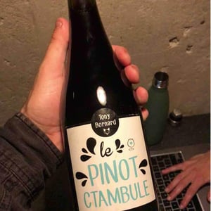 Le Pinotctambule - Domaine Bornard - tony-bornard